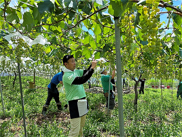 画像に alt 属性が指定されていません。ファイル名: s-IMG_8680.jpg